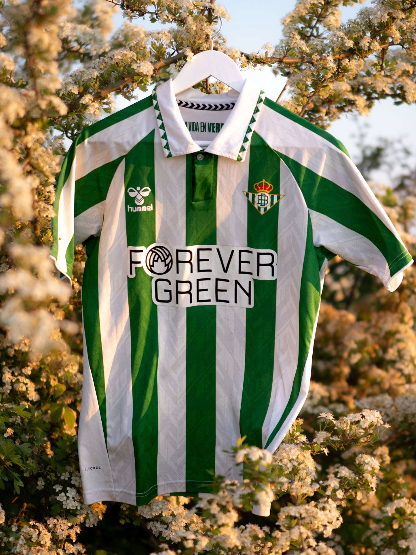 Real Betis 2024-25 Home Football Shirt | Hummel | Original | Size M